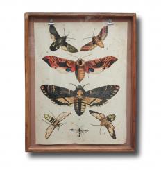 Bilderrahmen Clip XXL 