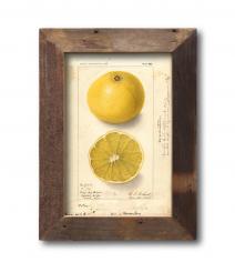 Bilderrahmen Cube 5075 