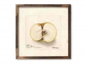 Bilderrahmen Filigran Blackburn 4040 