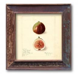 Bilderrahmen Profil 4040 