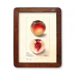 Bilderrahmen Ronda 3040 