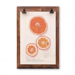 Clipboard Blackburn A4