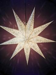 Papierstern Silberblüte 